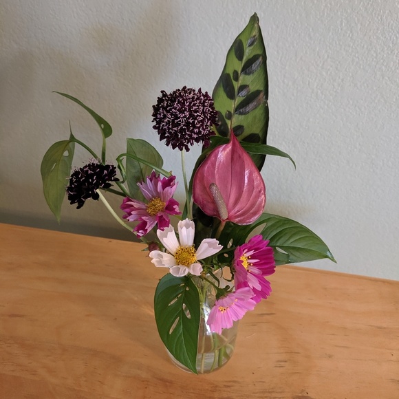 Meet your Posher, April - Picture 1 of 1